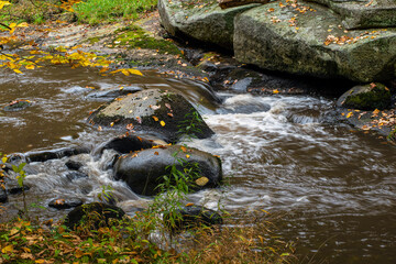 autumn leaves covered willard brook in cloudy  october  day