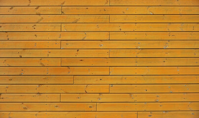 The structure of wood and tree bark in the photos as background texture wallpaper. Photographs were taken in September 2021 in Masuria and Podlasie in Poland.