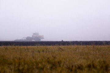 A crow sits on an arable land that is harrowed by a tractor in an early foggy morning.