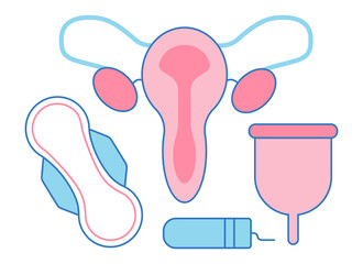 Concept of critical days, menstruation. Different types of feminine hygiene products. Menstrual cups, sanitary pads and tampons. Female reproductive system