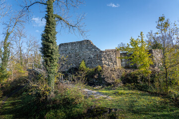 Lower Castle Ruins(Untere Burg) - Schellenberg, Liechtenstein