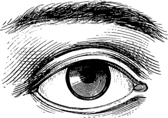 Vintage Style Eye Vector