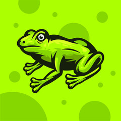 Green Frog Illustration
