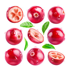 Set of nine cranberries. Three berries cut, six whole in drops with leaves isolated on white background.