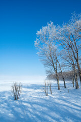 Winter scenery in Hokkaido, Japan