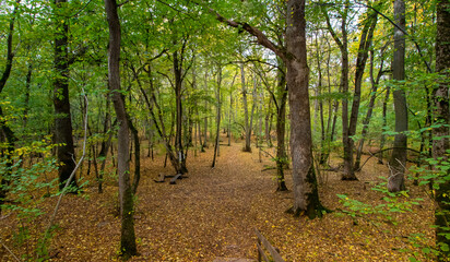 Autumn in Munch Meadows in Hellekis, Kinnekulle
