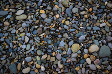 Pattern with little colorful pebble
