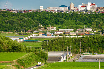 兵庫県・西神ニュータウンと近郊農園