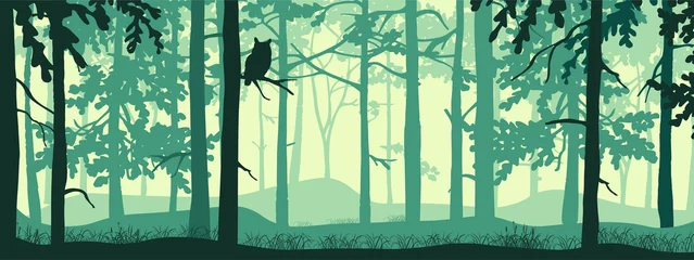 Foto op Aluminium Horizontale banner van bosachtergrond, silhouetten van bomen, uil op tak. Magisch mistig landschap, mist. Blauwe en groene illustratie. Bladwijzer. © Anna