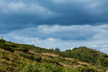 Fototapeta na wymiar Landscape of a slope with many stones on it, Carpathian mountains, Ukraine