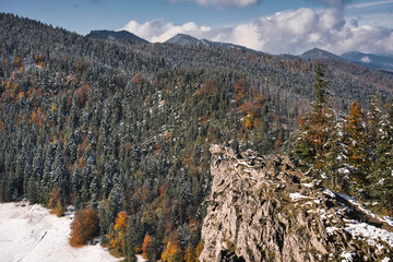 jesienne smreki © domek73