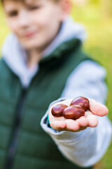 chestnuts in a young white boys hand