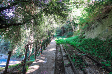 Abandoned tracks