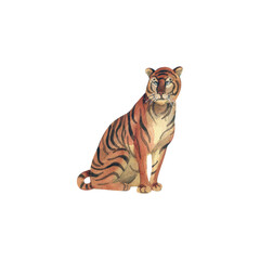 Tiger. Watercolour. Hand-drawn illustration.
