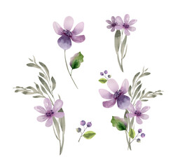 set of delicate watercolor purple flowers, hand painted