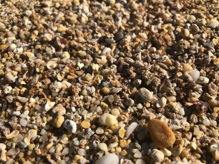 pebbles on the beach