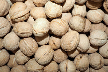 lots of round walnuts . top view. nuts in the shell