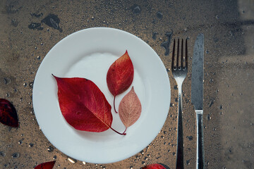 Red leaves on the white plate. Conceptual photo of the beginning of the autumn. Seasonal menu.
