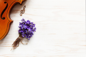  Old violin and little bunch of fresh violet hepatica on the white wooden background. Top view,...
