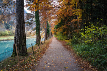 Fototapeta premium Beautiful autumn path by the side Aare river canal - Interlaken, Switzerland