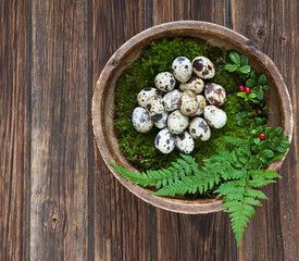 Quail eggs in a vintage wooden bowl with green plant leaves. Top view, background. Easter concept