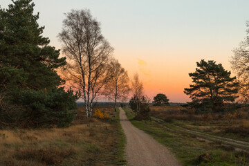 Sunset in autumn in a beautiful nature reserve on the Veluwe in the middle of the Netherlands.