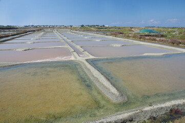 marais salant de Gu&eacute;rande