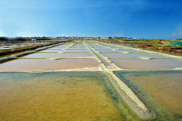 marais salant de Gu&eacute;rande