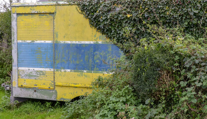 Old weathered colourful industrial trailer, overgrown with ivy left by a roadside. Closed sliding door. Flaking yellow, blue and white paintwork. Landscape image with space for text. UK. - 463295888