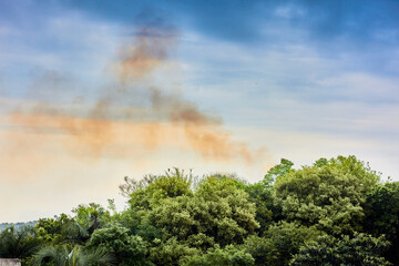 Polluting smoke over trees and blue sky