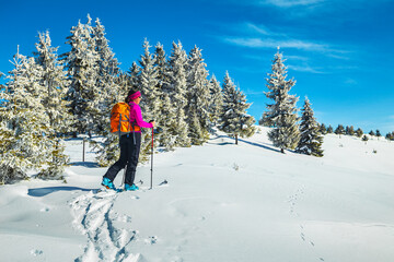 Fototapeta na wymiar Ski touring in the deep snow, Carpathians, Transylvania, Romania