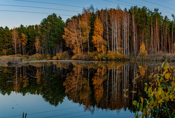 Fototapeta premium Forest lake near the village!