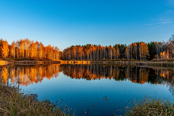 Forest lake near the village!