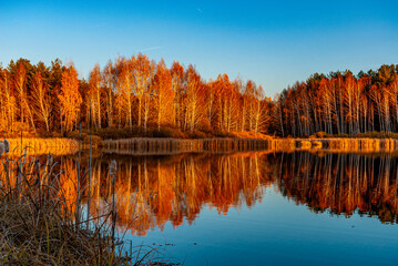 Forest lake near the village!