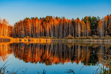 Forest lake near the village!