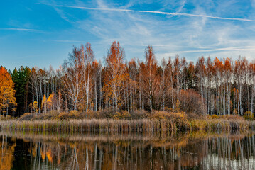 Forest lake near the village!