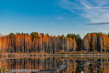 Forest lake near the village!