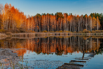Forest lake near the village!