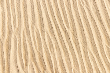 Dunes with wind marks