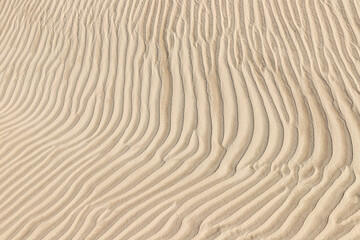 Fototapeta na wymiar Dunes with wind marks