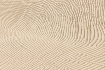 Fototapeta na wymiar Dunes with wind marks