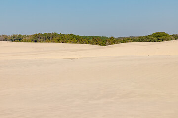 Dunes with forest in background