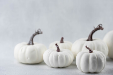 Halloween or thanksgiving day white pumpkins on white background. Selective focuse, blurred. Autumn pumpkin harvest