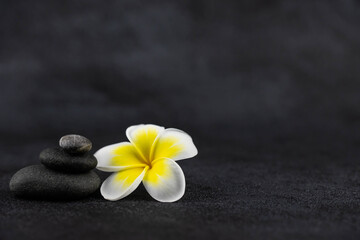Pyramids of gray and white zen pebble meditation stones on black background with plumeria tropical flower. Concept of harmony, balance and meditation, spa, massage, relax
