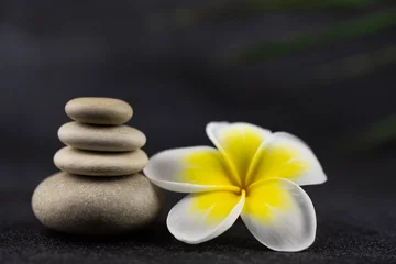 Foto op Canvas Pyramids of gray and white zen pebble meditation stones on black background with plumeria tropical flower. Concept of harmony, balance and meditation, spa, massage, relax © strigana