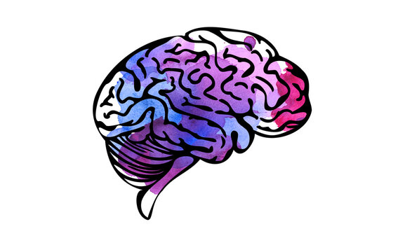 Watercolor brain, creativity concept. Vector illustration