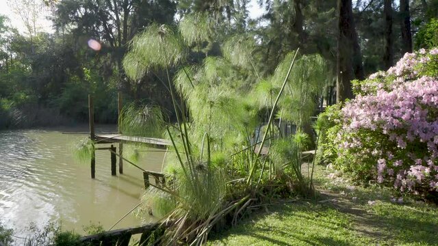 Paisaje del delta del Parana