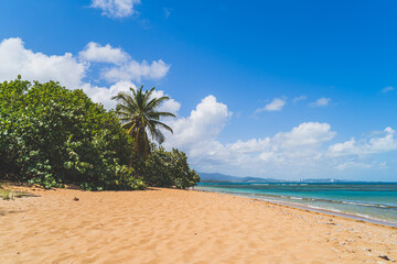 Hidden beach in Puerto Rico with Palm trees and turquoise waters