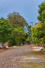 Fototapeta na wymiar Village street, with several trees, and cloudy sky with heavy shade of blue