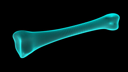 3D wireframe of a human bone isolated on black background. 3D illustration.